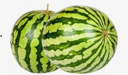 热门大瓜每日必吃大瓜合集